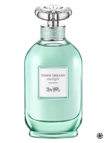 Coach Dreams Starlight Coach