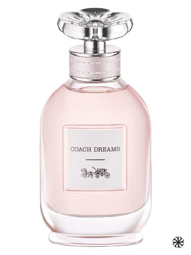 Coach Dreams Coach