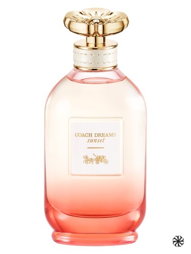 Coach Dreams Sunset Coach