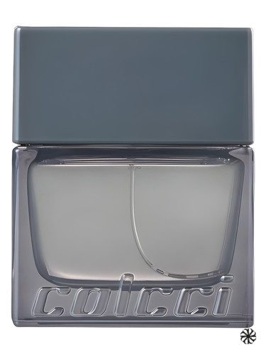 Colcci Silver Colcci