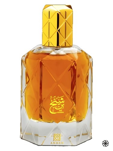 Bin Shaikh Ahmed Al Maghribi