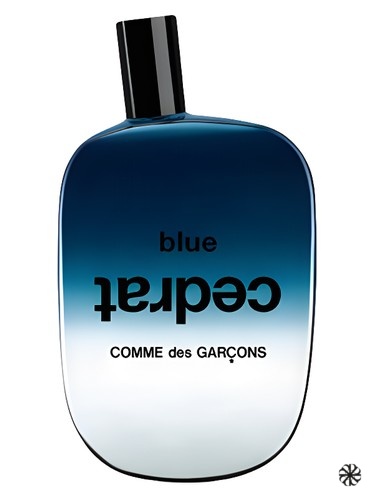 Blue Cedrat Comme des Garcons