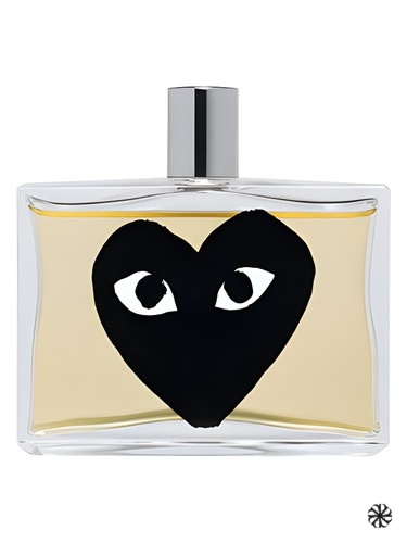 Black Comme des Garcons