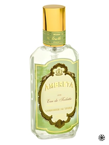 Ambreta Companhia da Terra