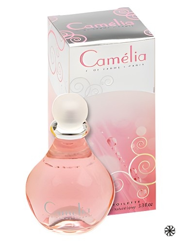 Camelia Corine de Farme