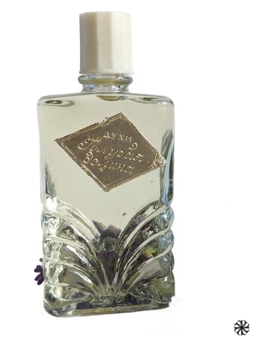 Голубая долина (Blue valley) Crimean rose – Крымская роза