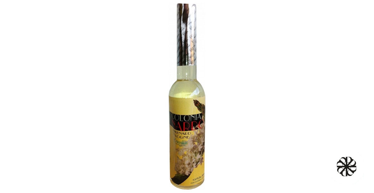 Nardo (Spikenard) Crusellas & Company