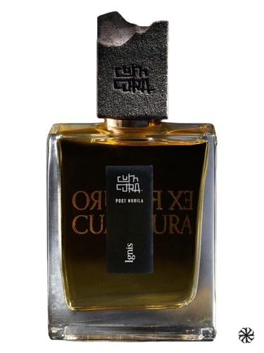 Ignis Cum Cura