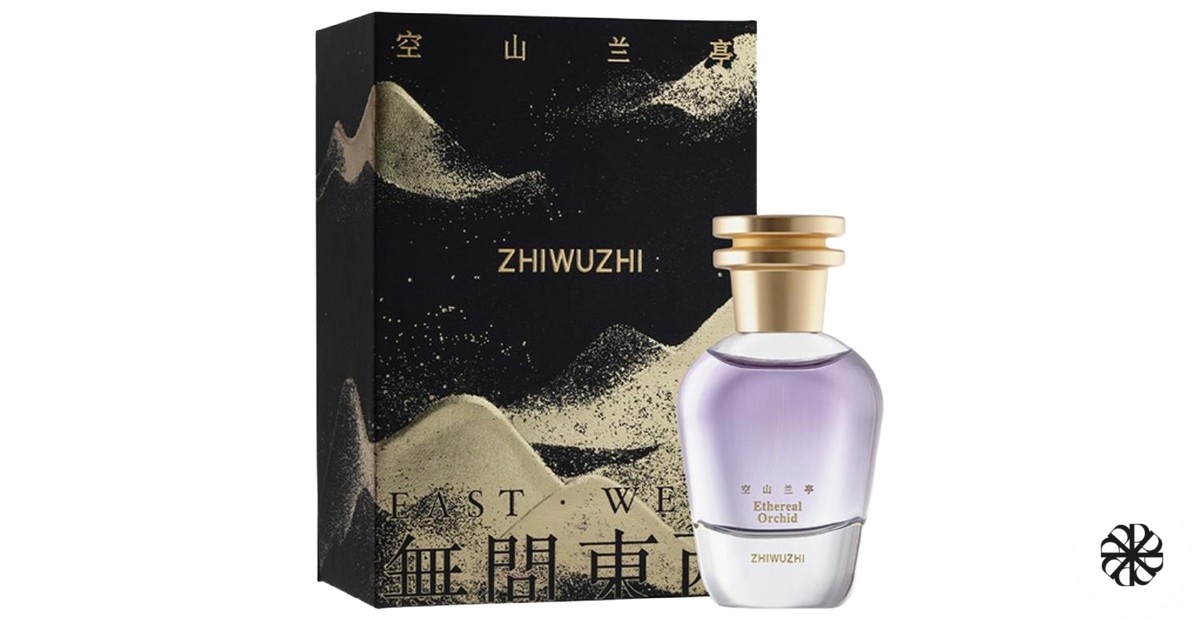Ethereal Orchid 空山兰亭 Zhiwuzhi 挚物志