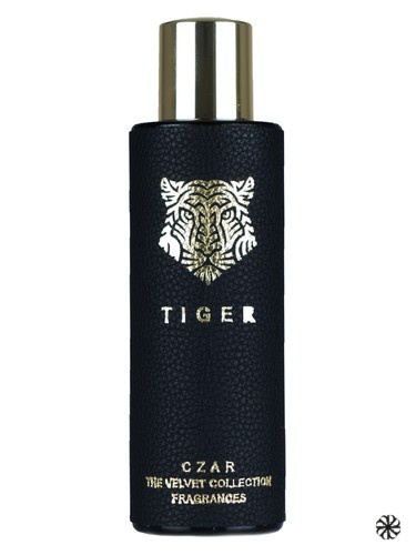 Tiger X Aslan Gülçiçek CZAR