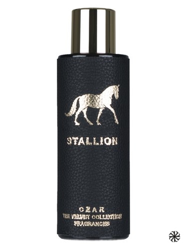 Stallion X Aslan Gülçiçek CZAR