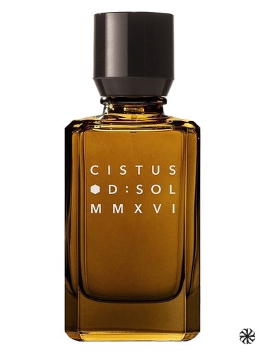 Cistus D:SOL MMXVI