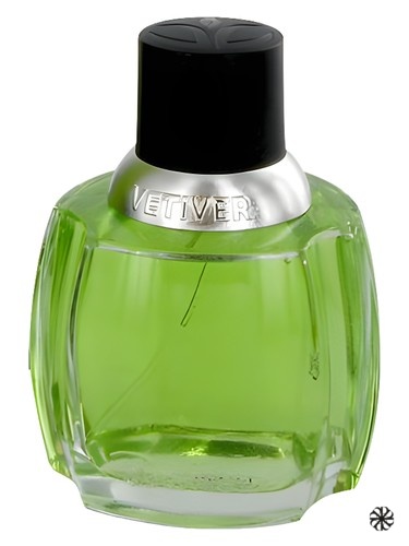 Vetiver Dana