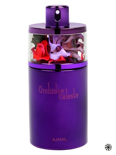 Orchidee Celeste Ajmal