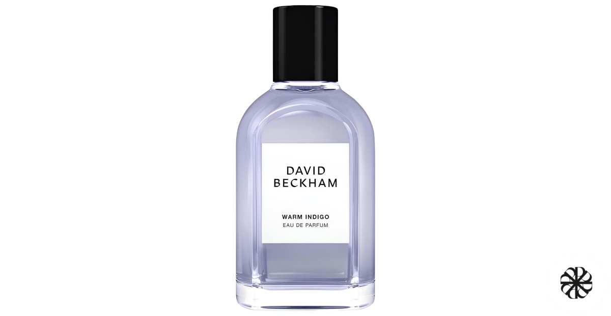 Warm Indigo David Beckham