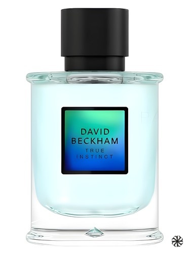 David Beckham True Instinct David Beckham