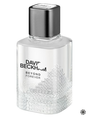 Beyond Forever David Beckham
