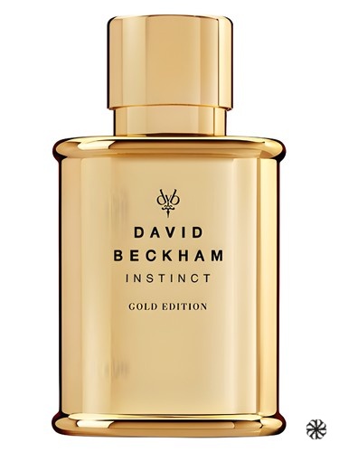 Instinct Gold Edition David Beckham