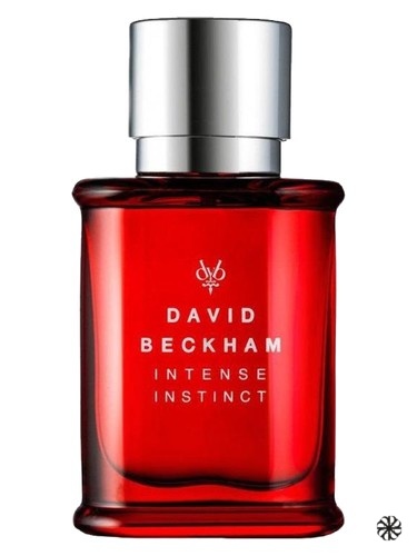 Intense Instinct David Beckham