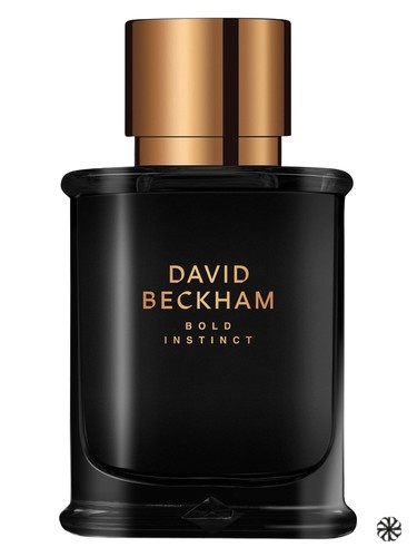 Bold Instinct David Beckham
