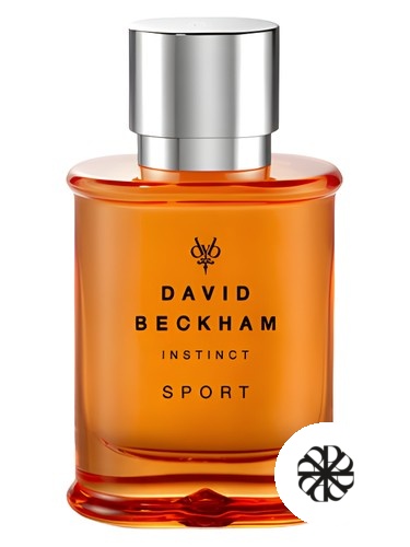 Instinct Sport David Beckham