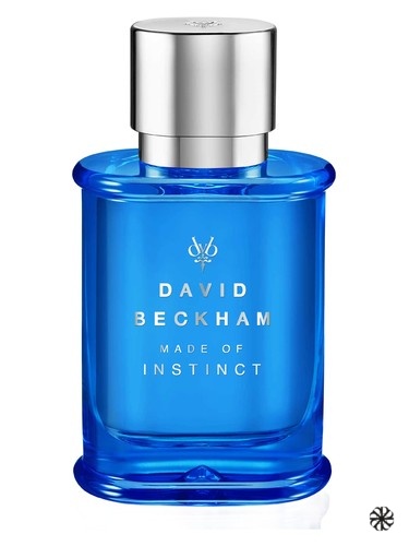 Made of Instinct David Beckham