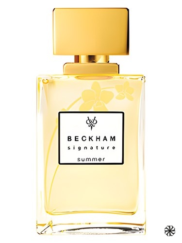 Signature Summer for Her David Beckham