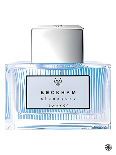 Signature Summer for Him David Beckham