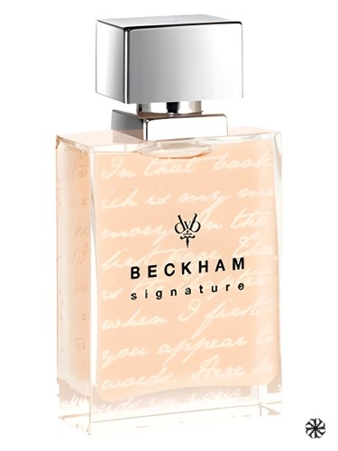 Signature Story for Her David Beckham