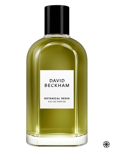 Botanical Resin David Beckham