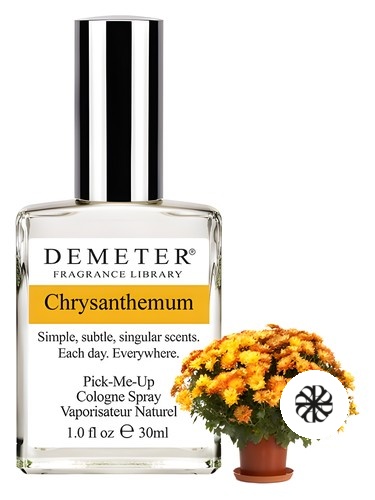 Chrysanthemum Demeter Fragrance