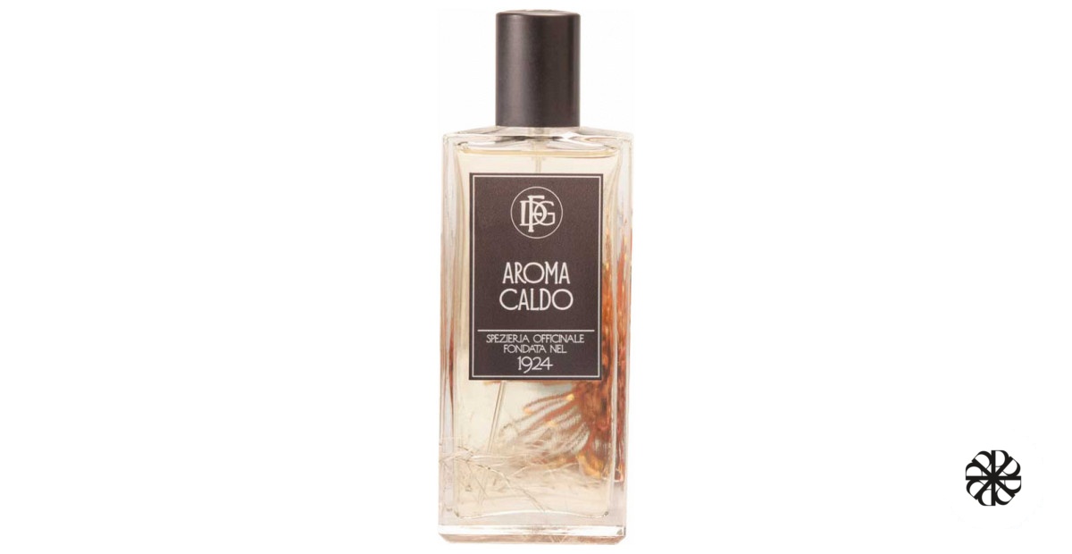 Aroma Caldo DFG1924