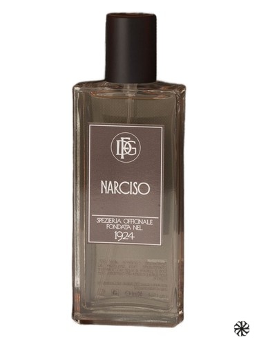 Narciso DFG1924