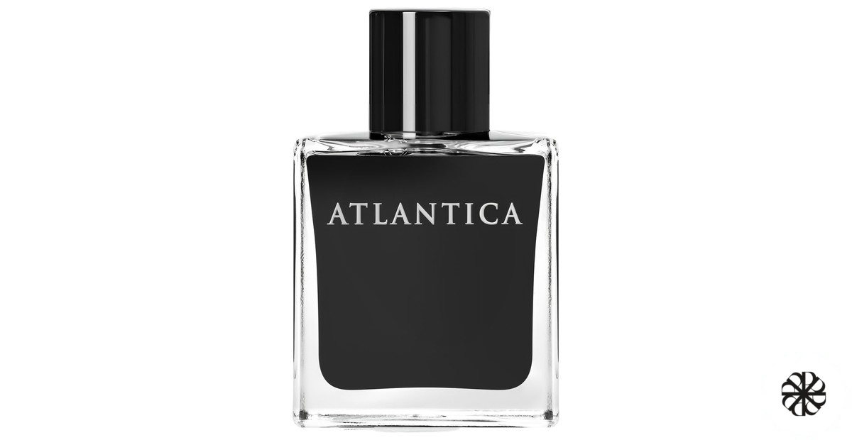 You're The Reason Dilís Parfum