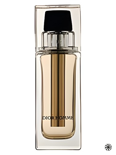 Dior Homme Voyage Dior