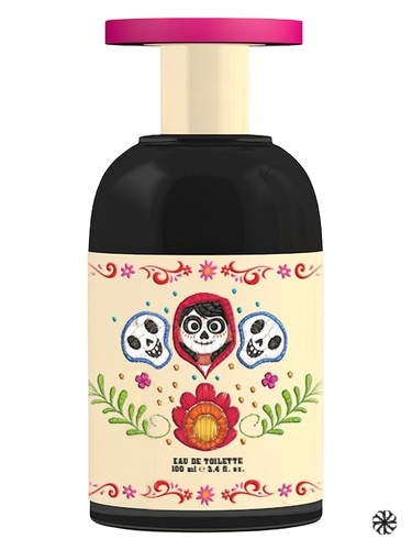 Coco Teenage Girl Disney