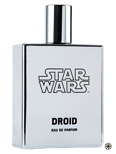 Star Wars Droid Disney