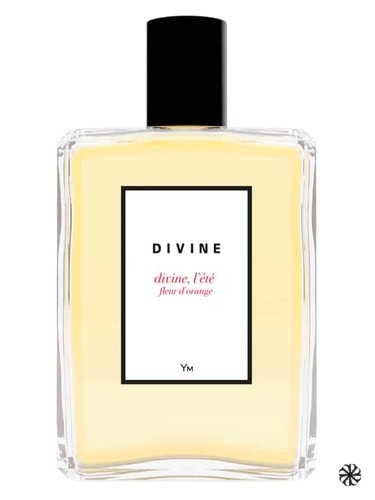Divine, l'été fleur d'orange Divine