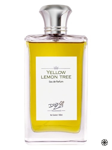 Yellow Lemon Tree Dixit & Zak