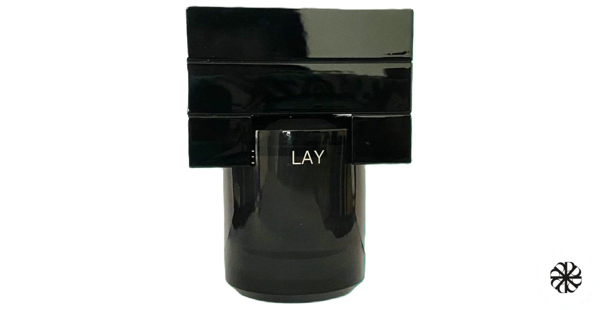 Lay 芳草留痕 DOCUMENTS 闻献