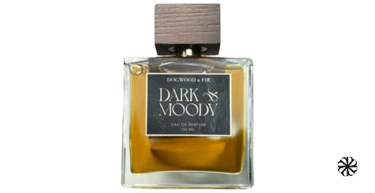 Dark & Moody Dogwood & Fir