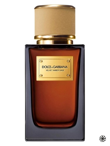 Velvet Amber Sage Dolce&Gabbana