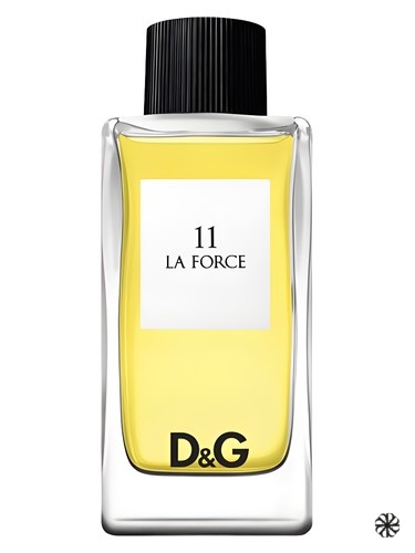D&G Anthology La Force 11 Dolce&Gabbana