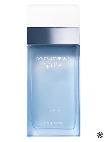 Light Blue Love in Capri Dolce&Gabbana