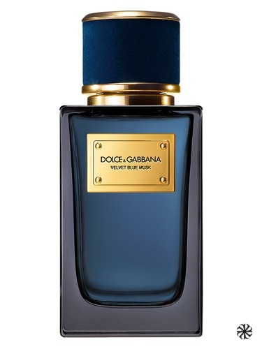 Velvet Blue Musk Dolce&Gabbana