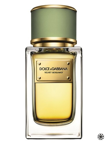 Velvet Bergamot Dolce&Gabbana