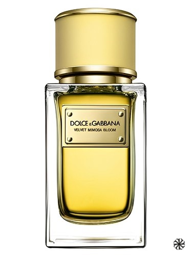Velvet Mimosa Bloom Dolce&Gabbana
