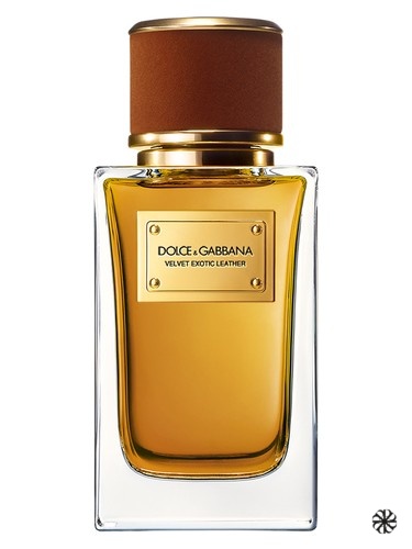 Velvet Exotic Leather Dolce&Gabbana