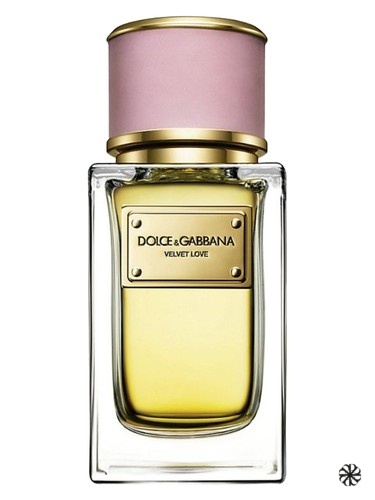 Velvet Love Dolce&Gabbana