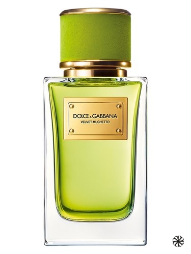 Velvet Mughetto Dolce&Gabbana
